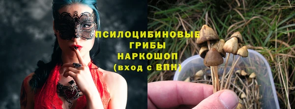 гашик Баксан