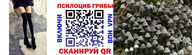 Псилоцибиновые грибы GOLDEN TEACHER  наркота  Иноземцево 